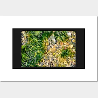 Rock Pool With Beach Pebbles & Seaweed - Abstract Coastal - #2 Posters and Art